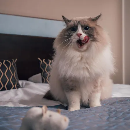 Haikko Manor & Hotel